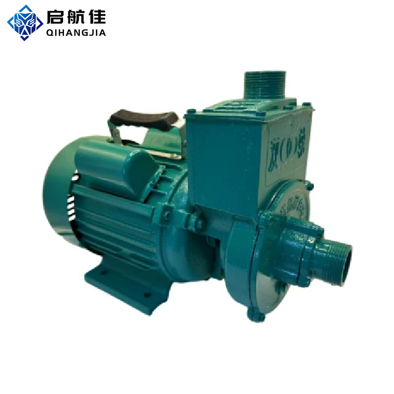 35m Head Double Impeller Wzb Water Pump Self-Priming Peripheral Water Pumps for Small Water Supply